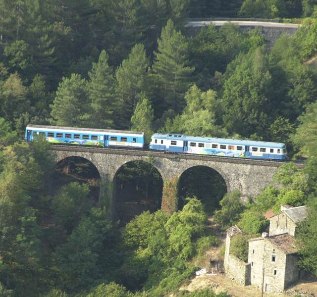Transcévenol
