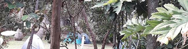 Atchu Camping