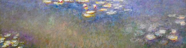 water-lilies-agapanthus
