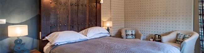Chambre PEGASE (c) M Dartenset