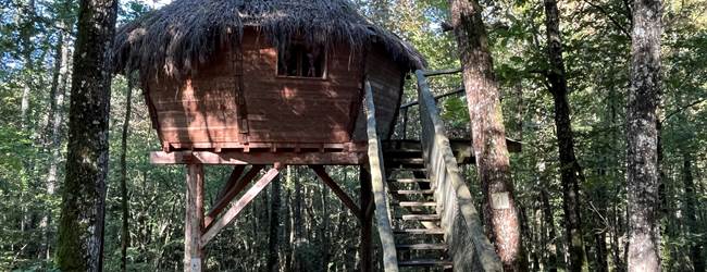 Cabane
