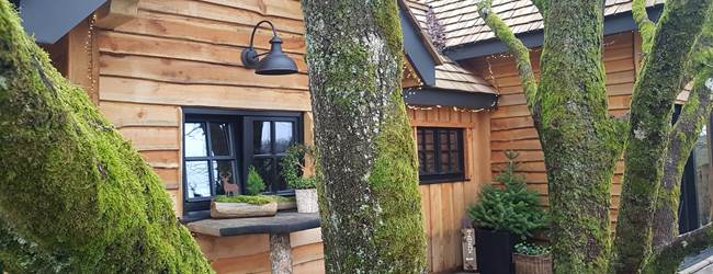 La Cab'âne de Bon Papa