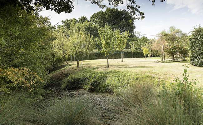 Manechal_Garden_020