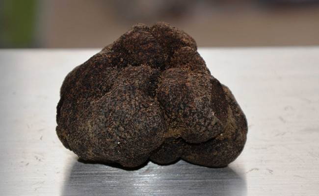Marché aux truffes de Saint-Paul-Trois-Châteaux