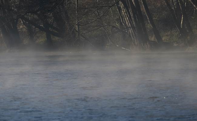 Morgenmist - Brume matinale - Morgennebel - Morning mist