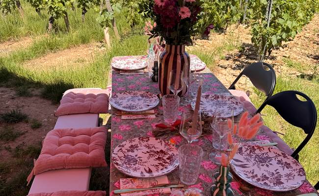 Maison Vitis - Repas dans les Vignes - Solutré