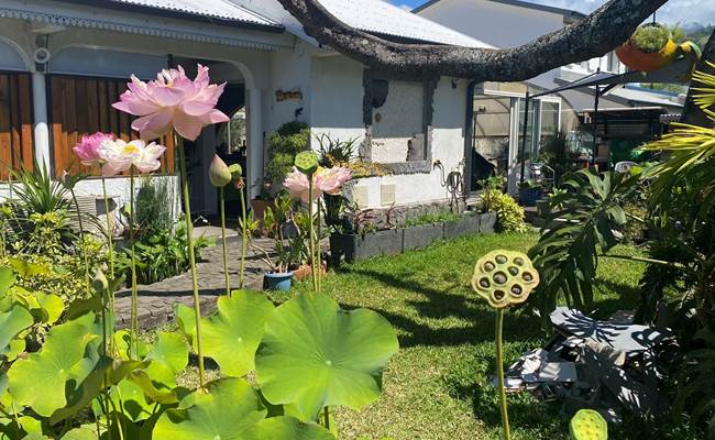Jardin exotique