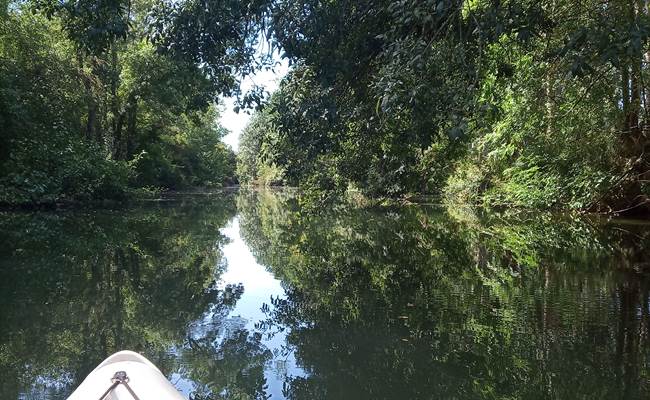 balade en canöe sur la Seugne