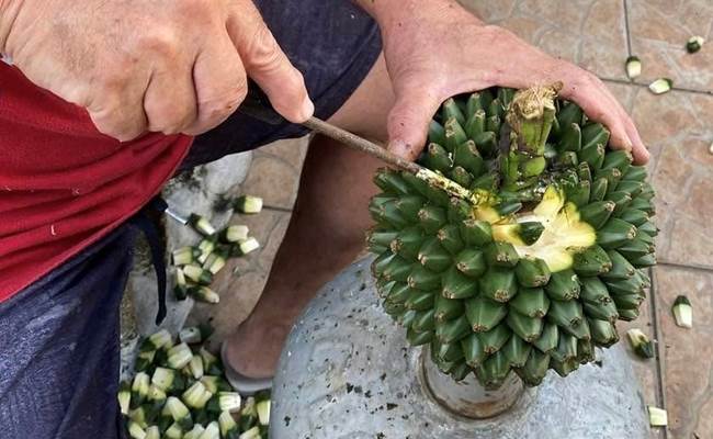 Découverte culinaire