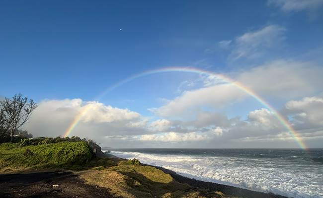 IMG_3511