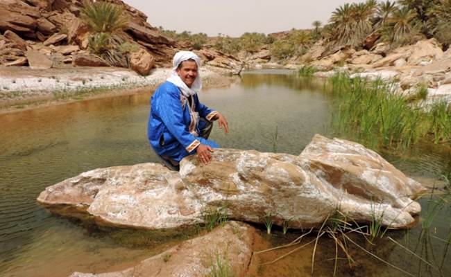 L'oasis de Saf Saf