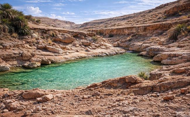 L'oued dans l'oasis de Saf-Saf