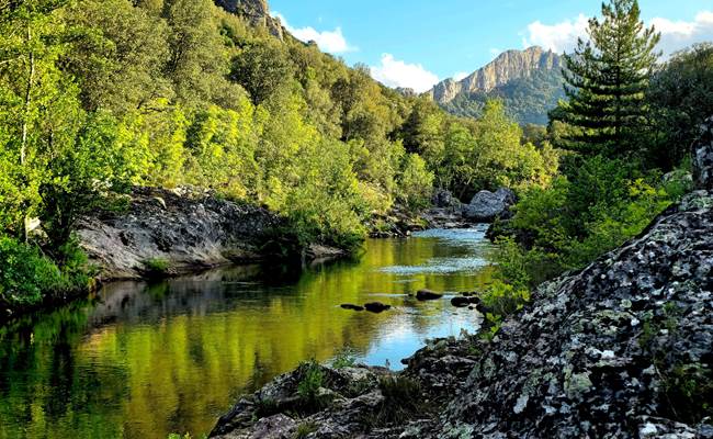 La rivière avec accès direct depuis les gites o fil de l'eau