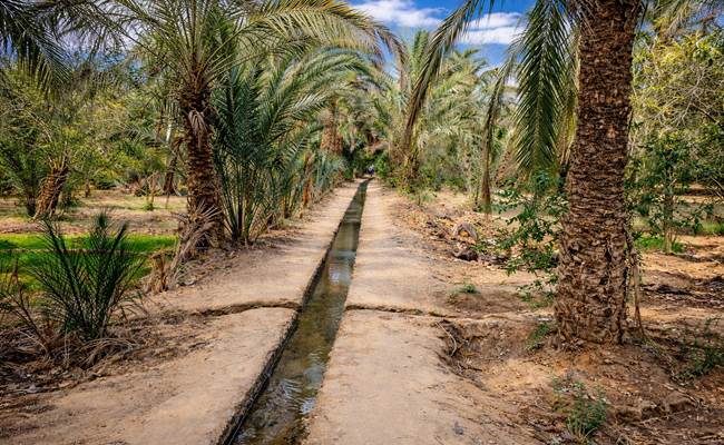 Canal d'irrigation des jardins de la palmeraie