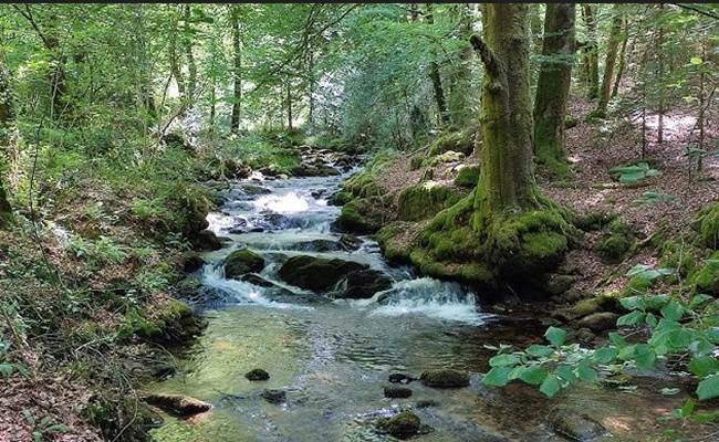 La Creuse; terre de randonnées ! De nombreux tracés partent du manoir