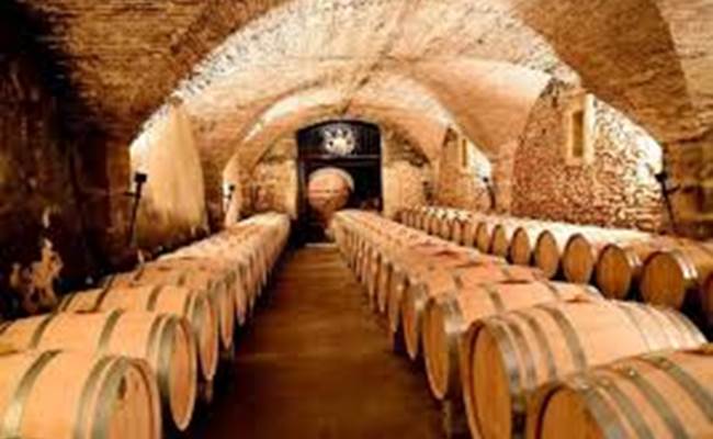 Une des nombreuses caves du vignoble