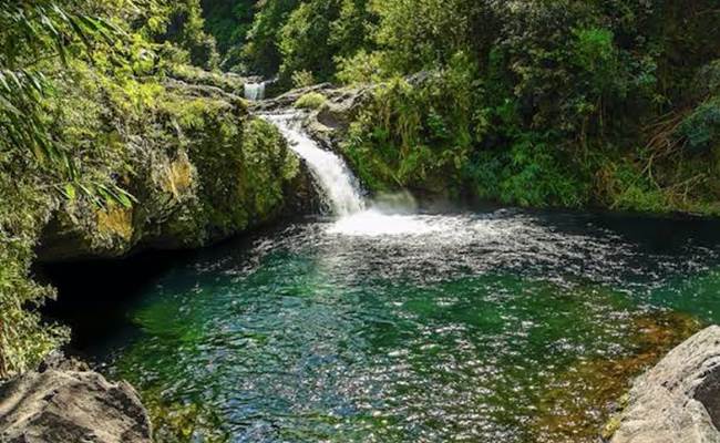 bassin jarre langevin
