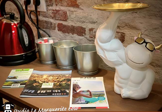 Studio Marguerite Cow - 2 ème étage - Lit 140 cm, matelas 26 cm d'épaisseur - Douche - Coin cuisine équipé complet - TV Netflix - Wifi fibre gratuit