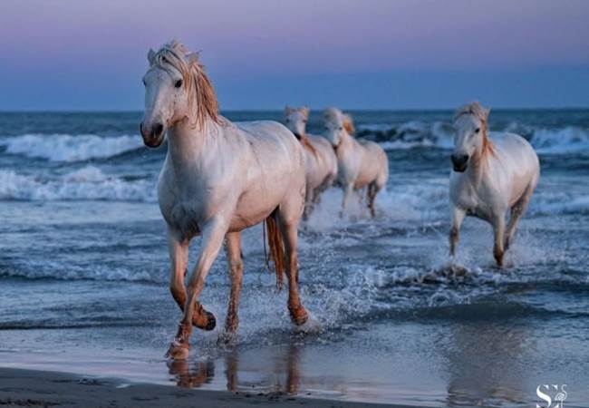 484808899_1292354942614113_6822166456498996507_n