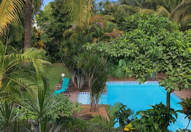 A-l-ombre-des-palmiers-royaux-jardin-l'or-des-caraibes