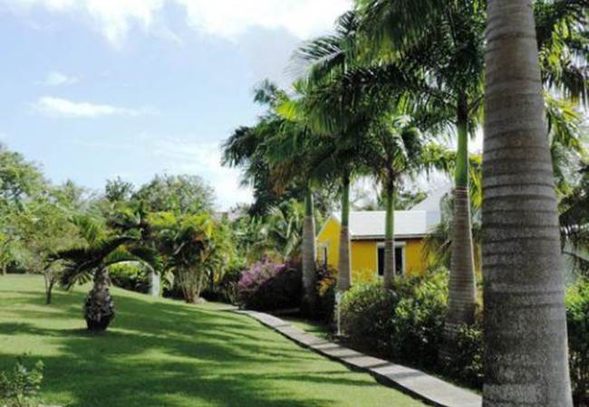 A-l-ombre-des-palmiers-royaux-jardin-l'or-des-caraibes