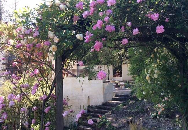 vue-vers-le-gite-ecureuil