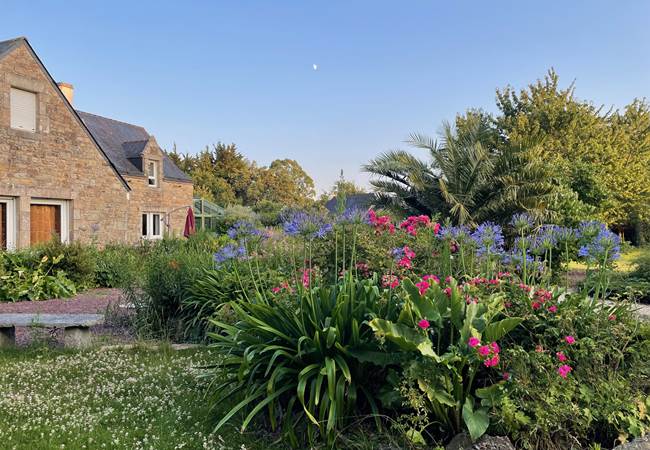 Massif roses et agapenthes
