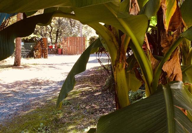 ambiance-petit-paradis