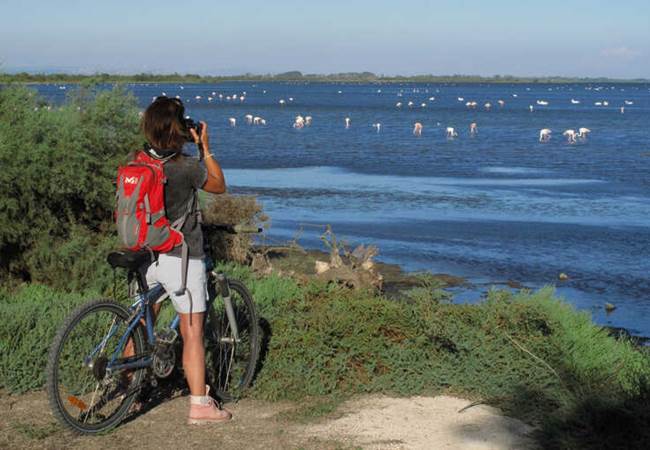 topo decouverte vaccares_F_Ferreira