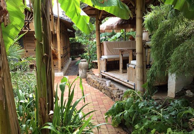 un-jardin-exotique-depaysant