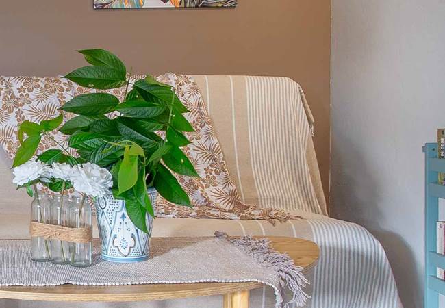 Gite-Cocotier-salon-repos-detente