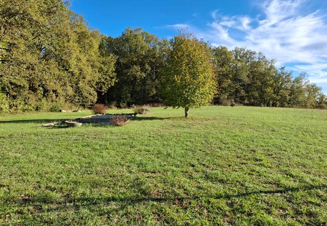 Terrain de pétanque privé avec vue panoramique sur la nature, idéal pour profiter de moments de jeu entre amis ou en famille