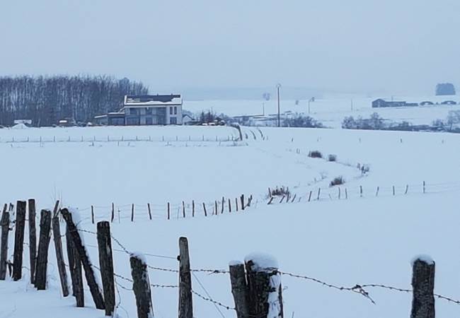 La chabetaine en hiver