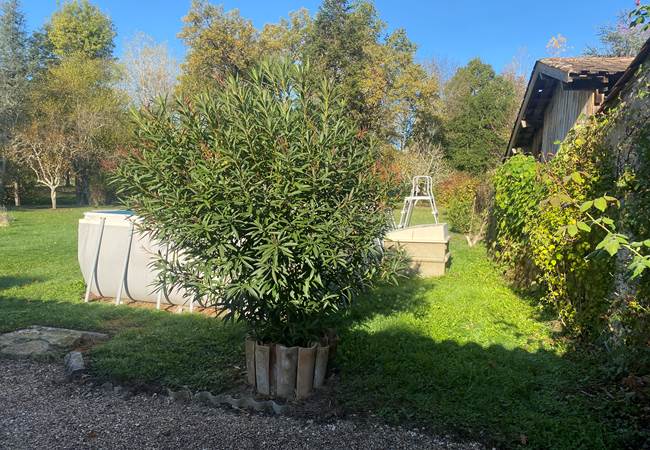 Piscine Gîte-Chambre d'hôte-Le Fleix