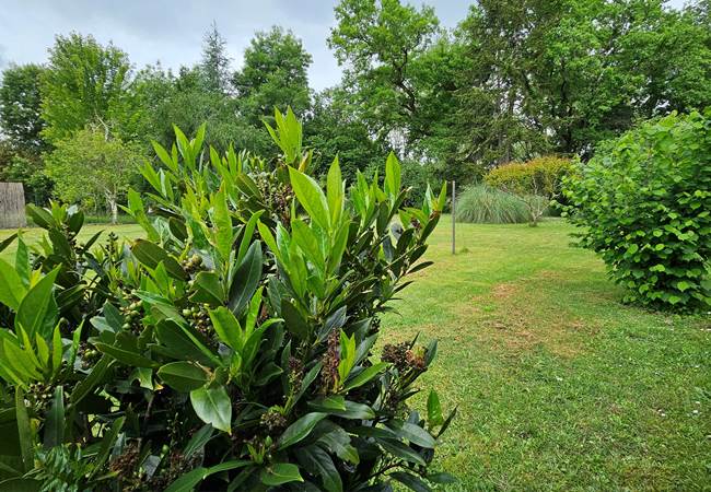 verdure-climat-doux-sud-ouest-parc-detente-famille