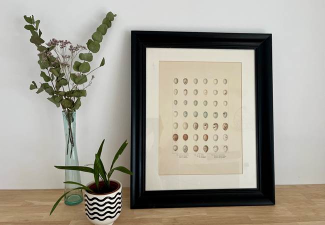 07.deco2.Gite.Bedous.Mandragot