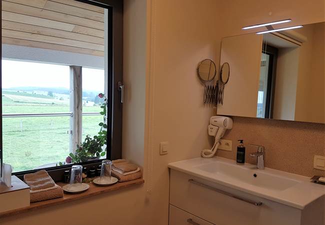 Salle d'eau privative de la chambre Zénith