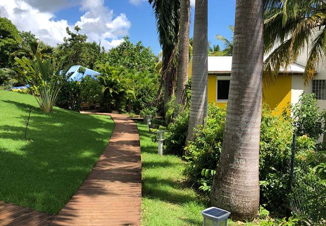 A-l-ombre-des-palmiers-royaux-jardin-l'or-des-caraibes