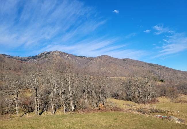 20250118_113447 - Copie