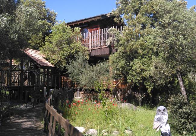 Notre cabane dans l'arbre