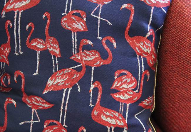 flamants roses