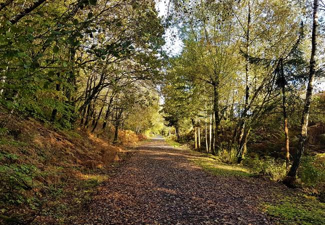 Balade sur le ravel à Morhet