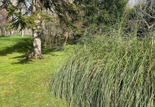 Parc verdoyant et climat agréable du Sud-Ouest pour se détendre en famille