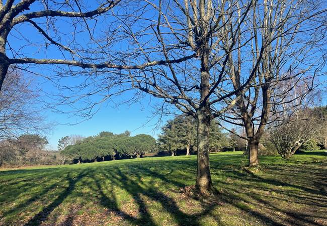 Immense parc arboré