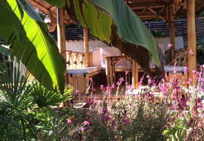 un-ecrin-de-verdure-pour