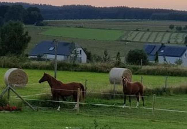 Vue depuis votre chambre, votre balcon, nos chevaux et la nature