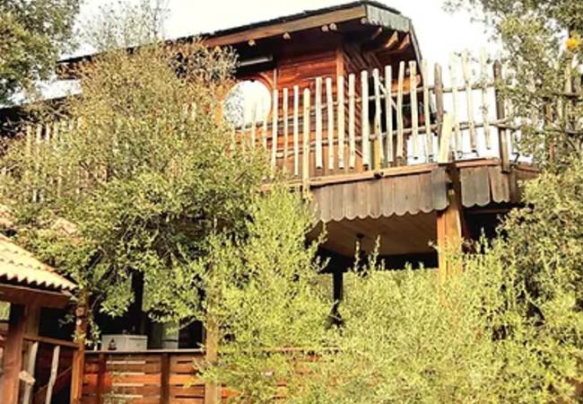 Notre cabane dans l'arbre