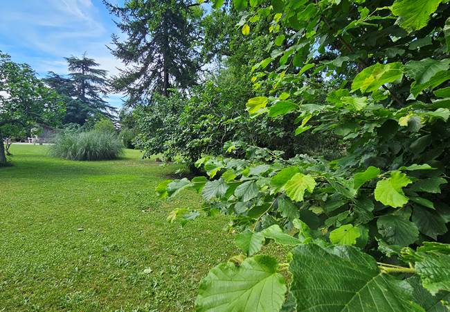 jardin-1800m2-promenades-tente-enfants