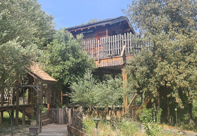La chambre de la cabane dans l'arbre