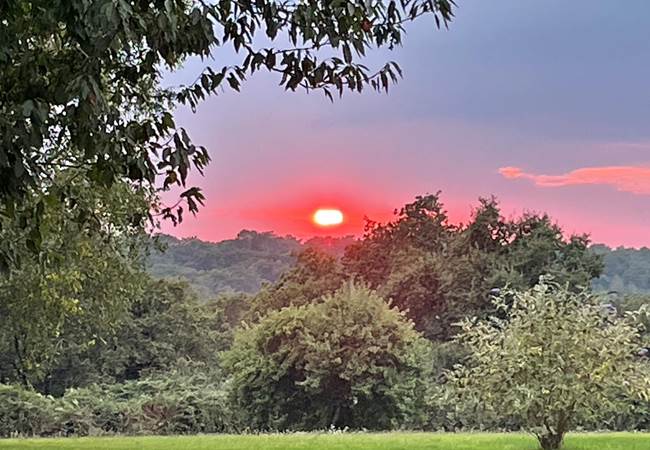 Coucher de soleil sur le parc 18 sept 2024